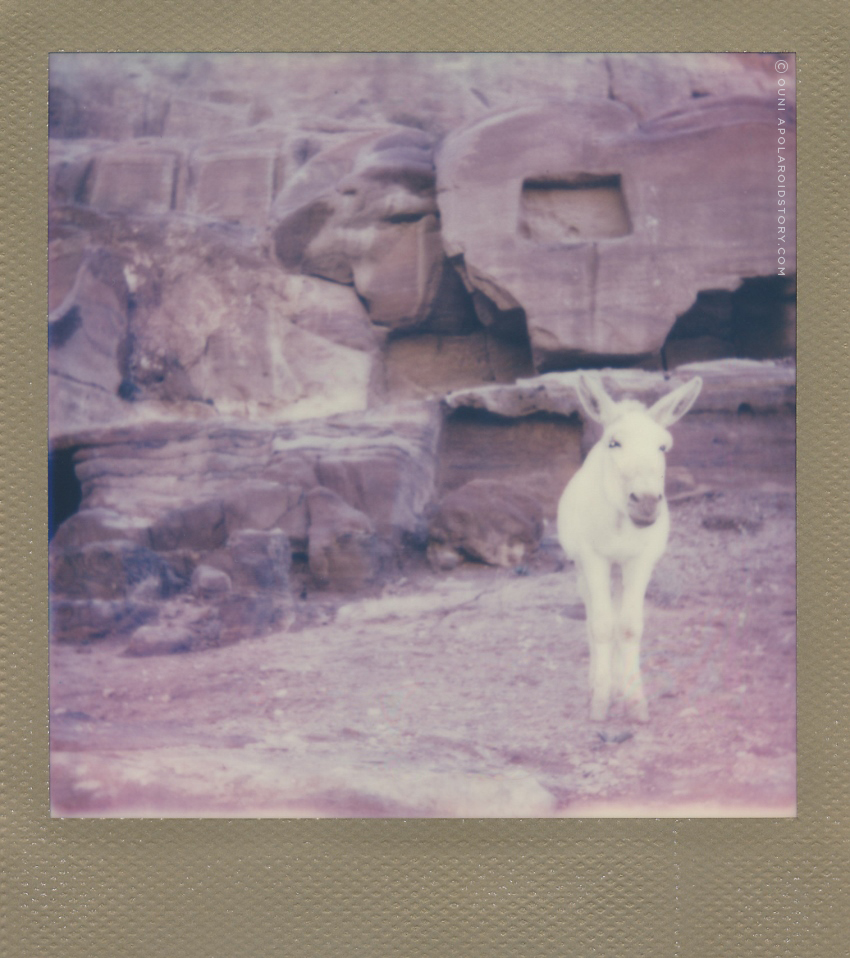 A POLAROID STORY TRAVEL